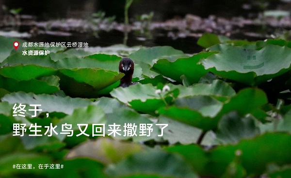 微信图片_20181018214644.jpg