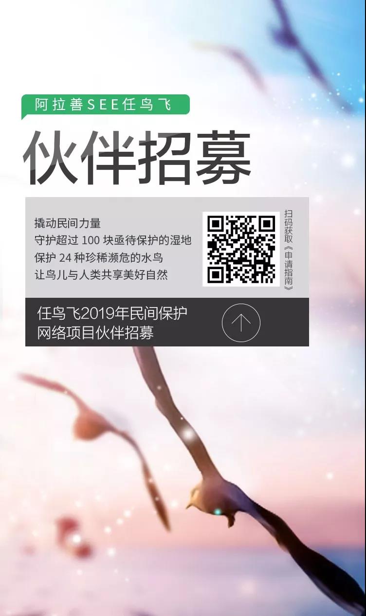 微信图片_20190609224808 - 副本.jpg